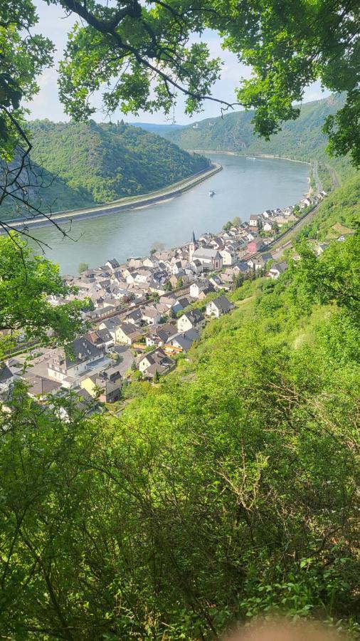 Ferienwohnung Zum Rheinblick Kestert Екстер'єр фото