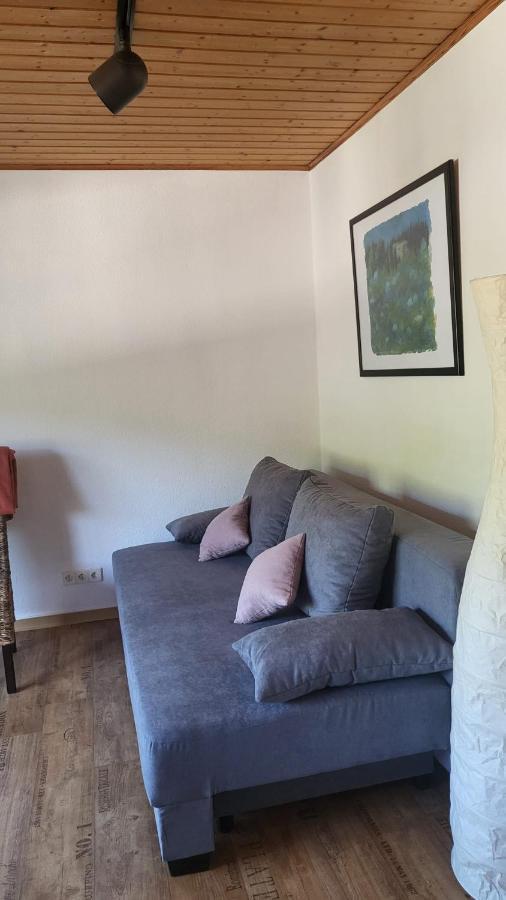 Ferienwohnung Zum Rheinblick Kestert Екстер'єр фото