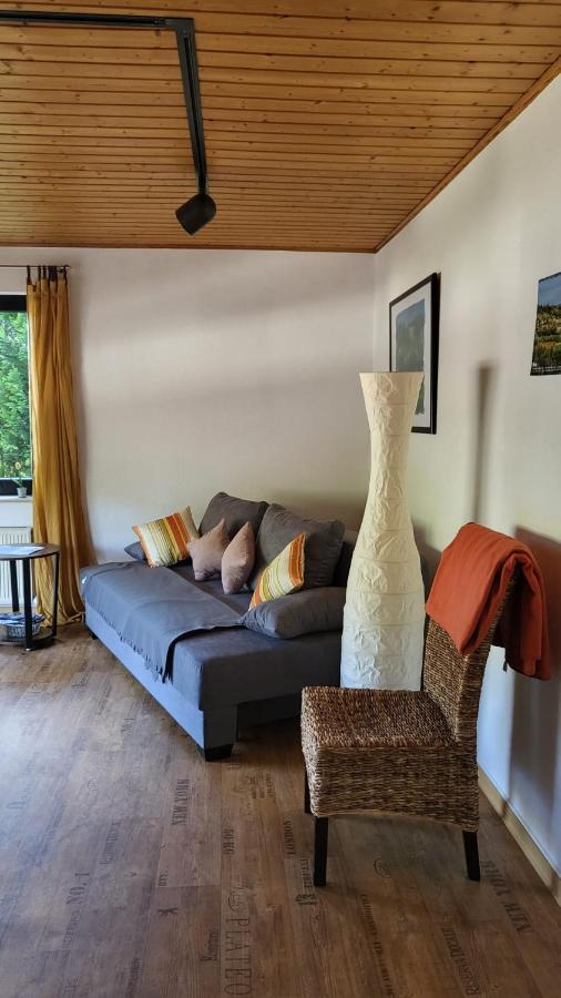 Ferienwohnung Zum Rheinblick Kestert Екстер'єр фото